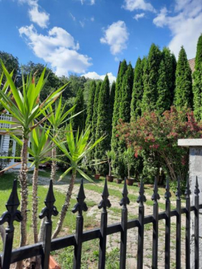 Hotels in Sowata